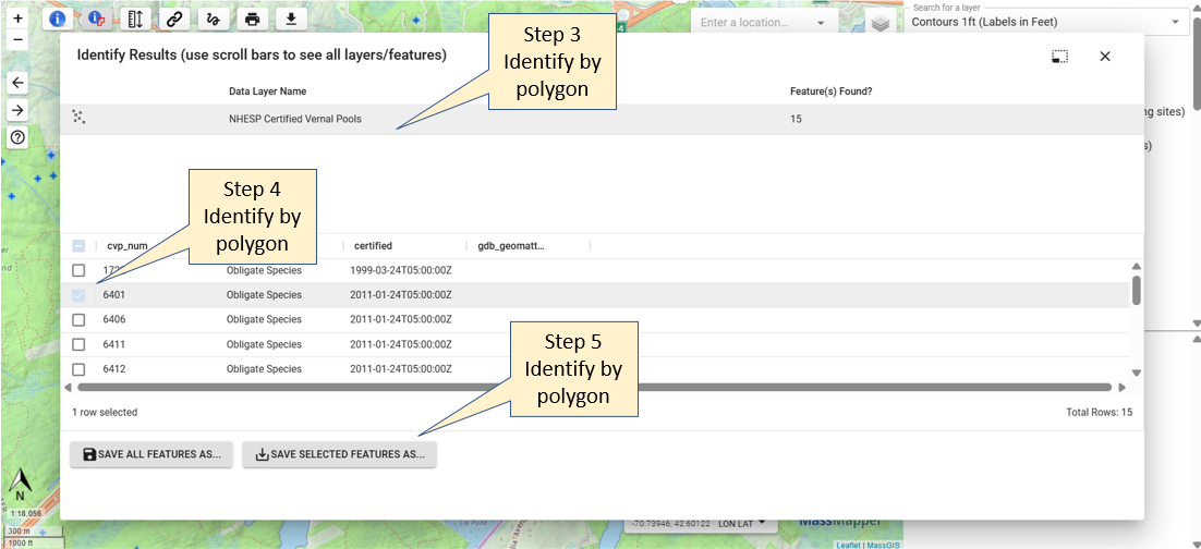 steps for using the multi feature identify tool